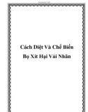 Cách Diệt Và Chế Biến Bọ Xít Hại Vải Nhãn