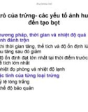 Bài giảng : CÔNG NGHỆ SẢN XUẤT BÁNH KẸO part 4