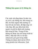 Những bào quan xử lý thông tin