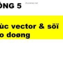 Chương 5: Các vecto và sự tạo dòng