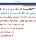 Bài giảng Công nghệ sinh học thực phẩm: Chương 3(3) - ThS. Phạm Hồng Hiếu