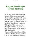 Enzyme làm chúng ta trở nên đặc trưng