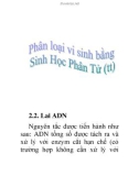 phân loại vi sinh vật bằng sinh học phân tử (tt)