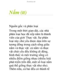 Nấm (tt)