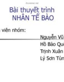 Bài thuyết trình bằng giáo án điện tử: Nhân Tế Bào