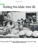 Giáo trình : Công nghệ sản xuất bia và malt part 2