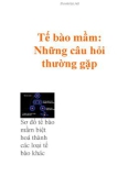 Tế bào mầm: Những câu hỏi thường gặp