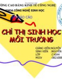 Bài giảng CHỈ THỊ SINH HỌC MÔI TRƯỜNG