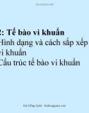 Bài giảng Vi sinh vật học: Bài 2 - Bùi Hồng Quân