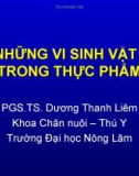 NHỮNG VI SINH VẬT TRONG THỰC PHẨM