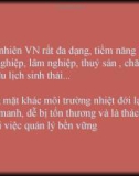 Môi trường Việt Nam