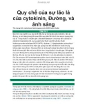 Quy chế của sự lão lá của cytokinin, Đường, và ánh sáng