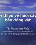 Bài giảng Giới thiệu về nuôi cấy tế bào động vật