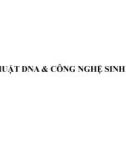 Bài giảng Kỹ thuật DNA và công nghệ sinh học