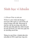 Sinh học vi khuẩn