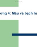 Chương 4: Máu và bạch huyết