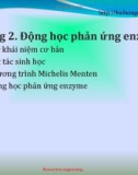 Bài giảng Kỹ thuật phản ứng sinh học: Chương 2 - Bùi Hồng Quân