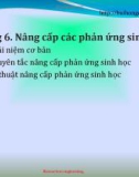 Bài giảng Kỹ thuật phản ứng sinh học: Chương 6 - Bùi Hồng Quân