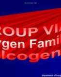 Bài giảng Hóa học - Chương 4: Oxygen Family - Calcogens (1)