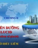 BÀI GIẢNG: CHƯƠNG II. SỰ BIẾN DƯỠNG GLUCID