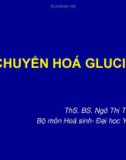 Bài giảng Chuyển hóa glucid - ThS. BS. Ngô Thị Thu Hiền