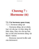 Chương 7 : Hormone (tt)