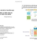 CHƯƠNG 10: ĐIỀU HÒA SỰ BIỂU HIỆN CỦA GENE