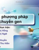 Bài thuyết trình: Các phương pháp chuyển gen