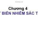 Bài giảng Chương 4: Đột biến nhiễm sắc thể