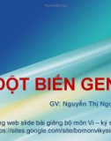 Bài giảng Sinh học phân tử: Đột biến Gen - Nguyễn Thị Ngọc Yến