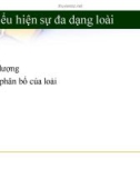 Bài giảng Biểu hiện sự đa dạng loài