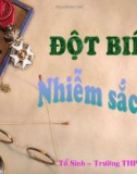 Đột biến nhiễm sắc thể