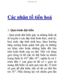 Các nhân tố tiến hoá