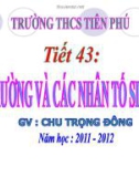 Bài giảng MÔI TRƯỜNG VÀ CÁC NHÂN TỐ SINH THÁI