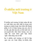 Ô nhiễm môi trường ở Việt Nam