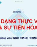 Bài giảng Sinh học đại cương A2: Chương 14 - Ngô Thanh Phong