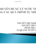 Chuyên đề xử lý nước thải bằng các quá trình tự nhiên - Nguyễn Thị Ngọc Ánh