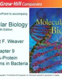 Lecture Molecular biology (Fifth Edition): Chapter 9 - Robert F. Weaver