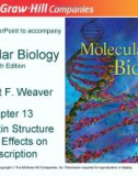 Lecture Molecular biology (Fifth Edition): Chapter 13 - Robert F. Weaver