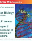 Lecture Molecular biology (Fifth Edition): Chapter 6 - Robert F. Weaver