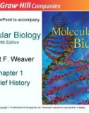 Lecture Molecular biology (Fifth Edition): Chapter 1 - Robert F. Weaver