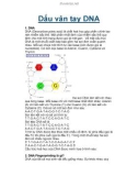 Tài liệu: Dấu vân tay DNA