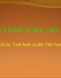 Tiểu luận: Địa lý kinh tế học Việt Nam (Cà phê Việt Nam)