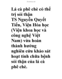 Lá cà phê chè có thể trị sỏi thận