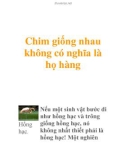 Chim giống nhau không có nghĩa là họ hàng