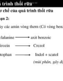 Chương Quá trình thối rữa