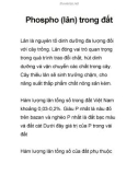 Phospho (lân) trong đất