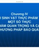 Chương IV: Hệ vi sinh vật thực phẩm trên một số thực phẩm quan trọng và các phương pháp bảo quản