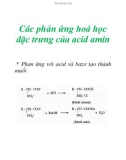 Các phản ứng hoá học đặc trưng của acid amin