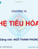 Bài giảng Sinh học đại cương A2: Chương 10 - Ngô Thanh Phong